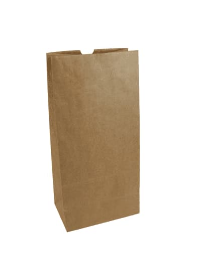 Disposable Dinnerware brown paper bags